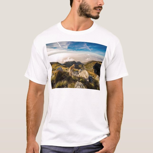 Camiseta A viagem (Frente)