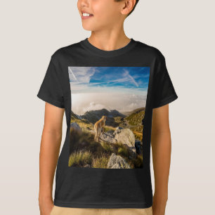 Camiseta A viagem