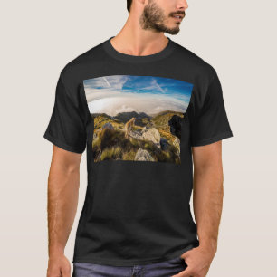 Camiseta A viagem