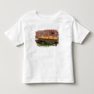 Camiseta Abóboras em velha carroça