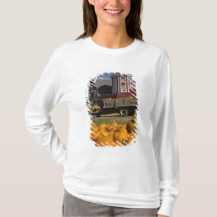 Camiseta Abóboras na fazenda no outono perto de Concord, 2