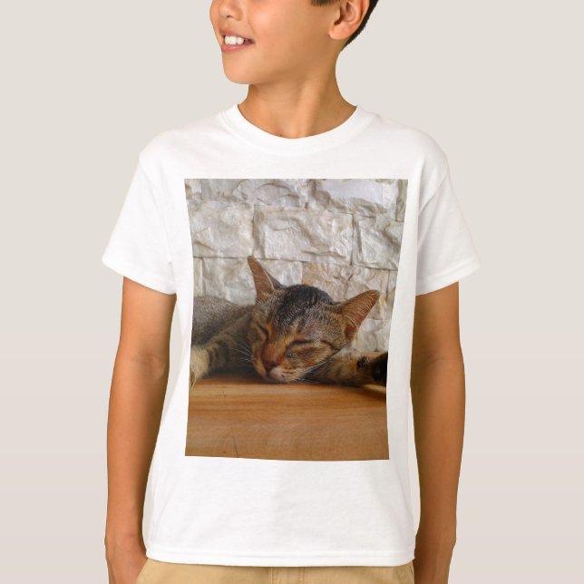 Camiseta Abraçar Gato (Frente)