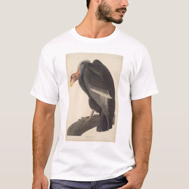 Camiseta Abutre de Audubon Califórnia (2609A) (Frente)