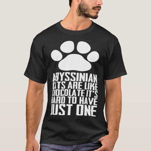 Camiseta Abyssinian cats are like chocolate its hard to hav (Frente)