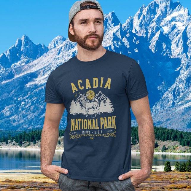 Camiseta Acadia National Park Vintage Landscape (Criador carregado)