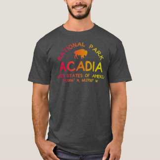 Camiseta Acadia National Park Vintage Souvenir Maine ME