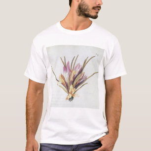 Camiseta Açafrão ou açafrão, 'de La Guirlande de Julie'