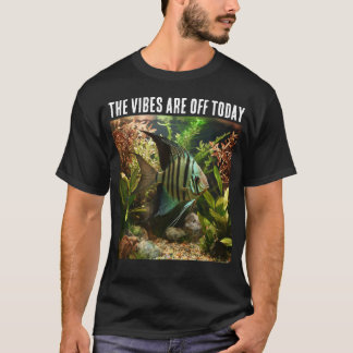 Camiseta Acara-altum-listrado em aquário doméstico
