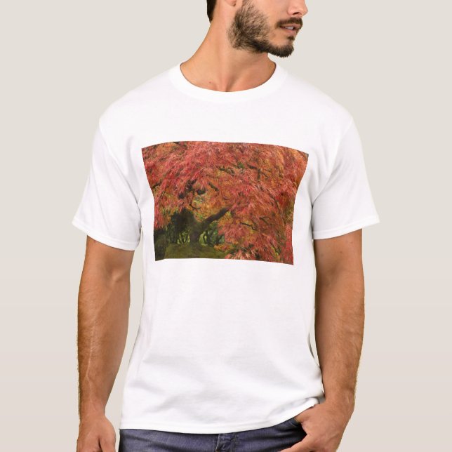 Camiseta Ácer japonês em cores de outono (Frente)