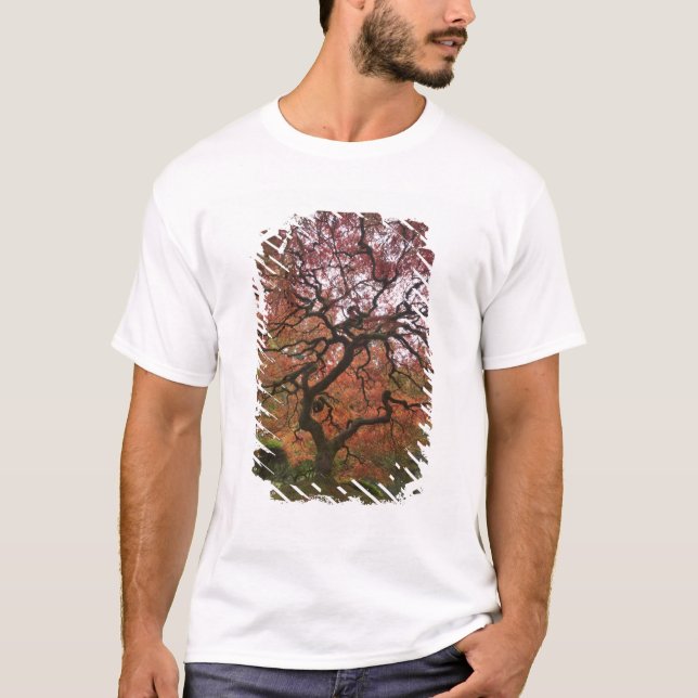 Camiseta Ácer japonês em cores de outono (Frente)
