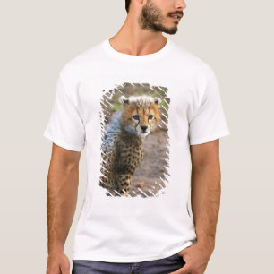 Camiseta Acinonyx Jubatus de Cub da chita) como visto no