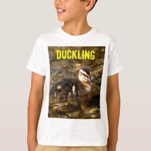 Camiseta Acoplamento