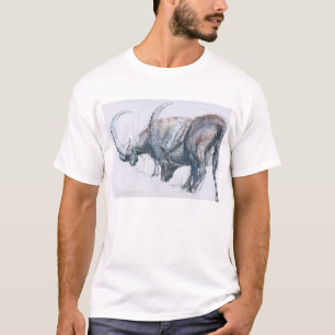 Camiseta Acumulação para o inverno 2006