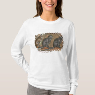 Camiseta Adam que nomeia os animais, de Midlands nortes