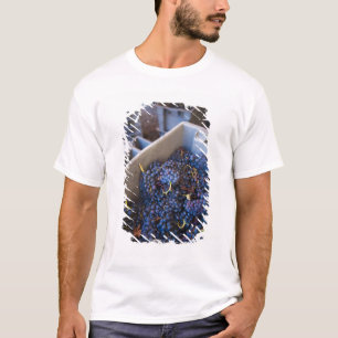Camiseta Adega Marques de Riscal, uvas