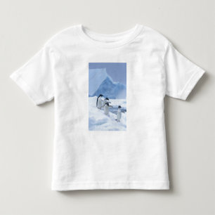 Camiseta Adelie Penguins (Pygoscelis adeliae) no gelo,