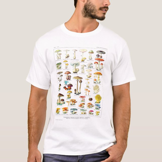 Camiseta Adolphe Millot Mushroom Larousse - poster francês (Frente)