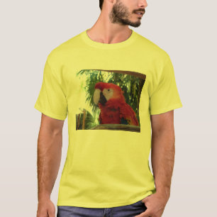 Camiseta Adoro papagaios