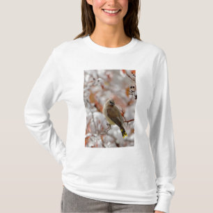 Camiseta Adulto Cedar Waxwing no espinho com neve,