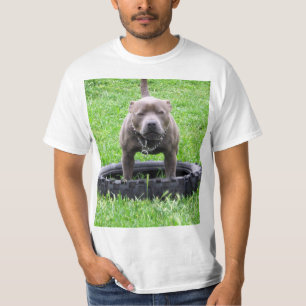 Camiseta Adulto Male Staffordshire Bull Terrier,