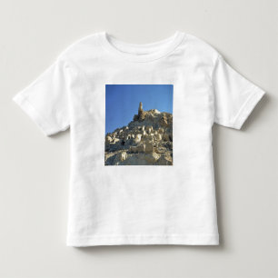 Camiseta Afeganistão, Vale de Bamian. A lenda diz que