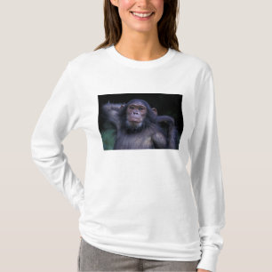 Camiseta África, África Oriental, Tanzânia, Parque Nacional