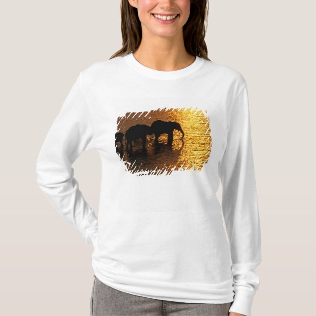 Camiseta África, Botsuana, Delta do Okavango. Africano (Frente)