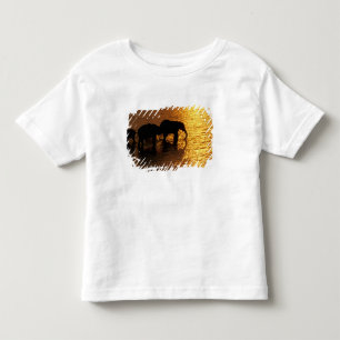 Camiseta África, Botsuana, Delta do Okavango. Africano
