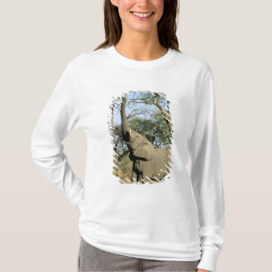 Camiseta África, Botsuana, Delta do Okavango. Africano 2
