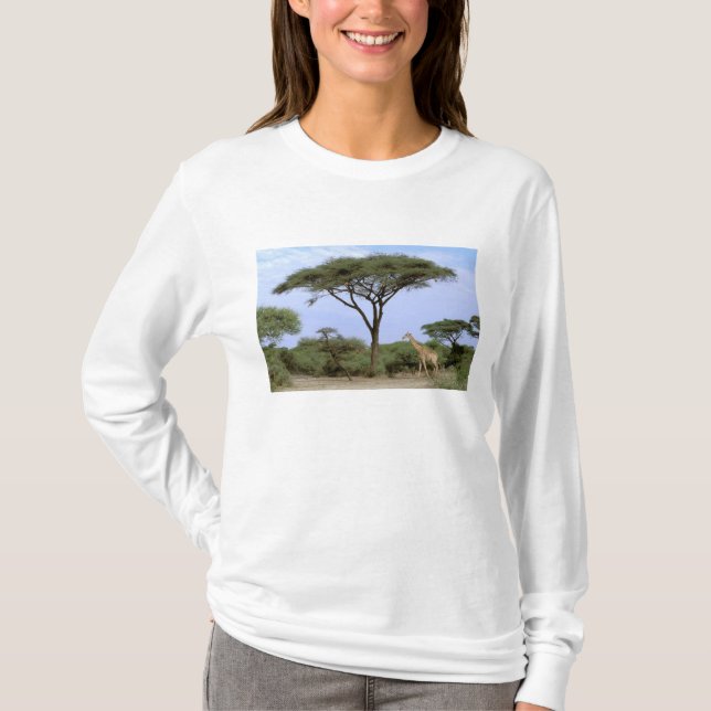 Camiseta África, Botsuana, Delta do Okavango. Sul (Frente)