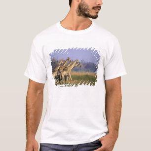 Camiseta África, Botsuana, Reserva de Caça Moremi