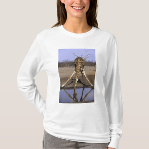 Camiseta África, Botswana, parque nacional de Chobe, giraf