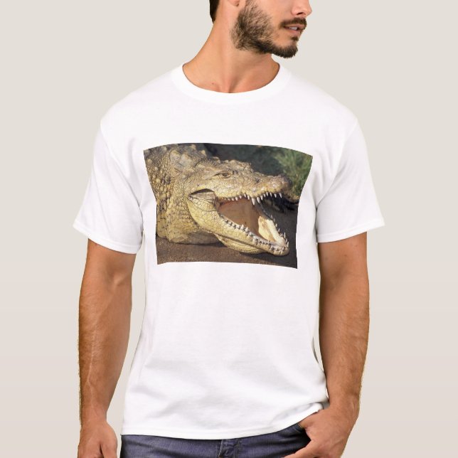 Camiseta África do Sul, crocodilo do Nilo (Frente)