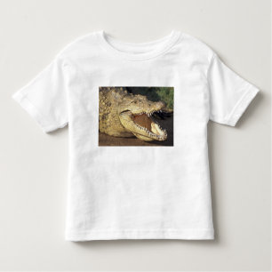 Camiseta África do Sul, crocodilo do Nilo