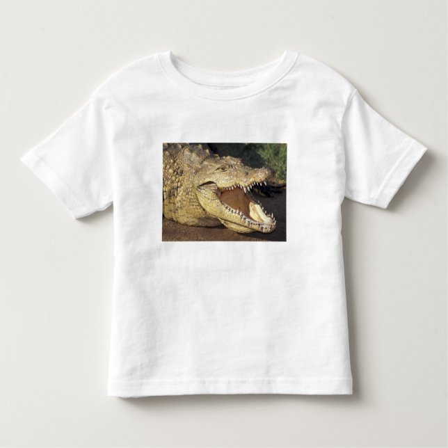 Camiseta África do Sul, crocodilo do Nilo (Frente)