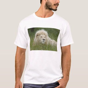Camiseta África do Sul, East London, Inkwenkwezi Private