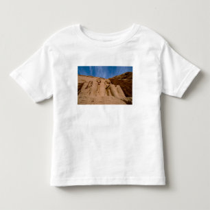 Camiseta África, Egito, Abu Simbel, Ramses II e