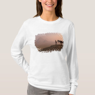 Camiseta África, Egito, Cairo, Gizé, pirâmides de Gizé em