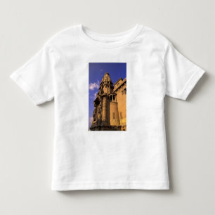 Camiseta África, Egito, Cairo, Heliopolis. Barão's