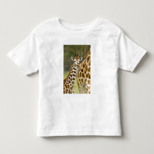 Camiseta África. Kenya. Bebê do girafa de Rothschild com 