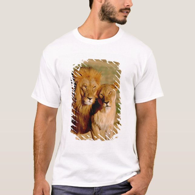Camiseta África, Namíbia, Okonjima. Leão & leoa (Frente)
