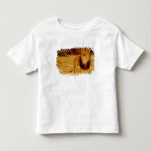 Camiseta África, Namíbia, Okonjima. Leão macho solitário