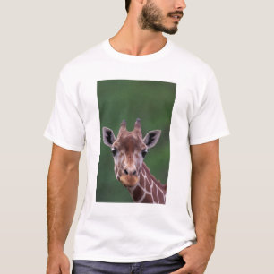 Camiseta África, Quênia, Impala Ranch. Reticulada