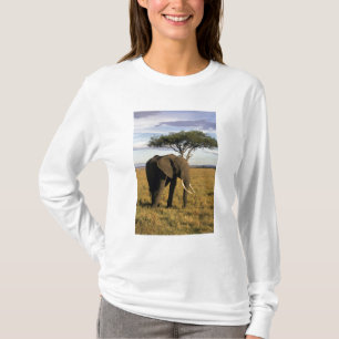 Camiseta África, Quênia, Maasai Mara. Um elefante no