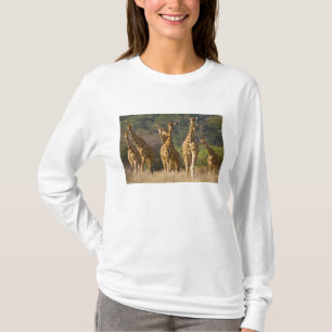 Camiseta África. Quênia. Manada de girafas-reticuladas