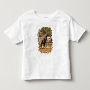 Camiseta África, Quênia, Masai Mara. Elefante (Loxodonta)