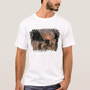 Camiseta África, Quênia, Masai Mara. hipopótamos comuns