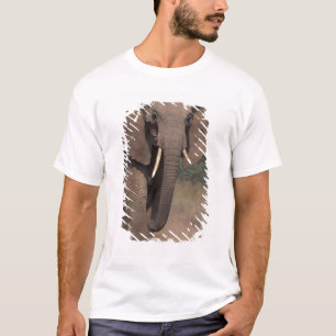Camiseta África, Quênia, Nanyuki, Mpala. Elefante-africano.