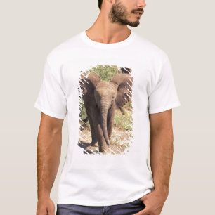 Camiseta África, Quênia, Parque Nacional de Amboseli. Afric