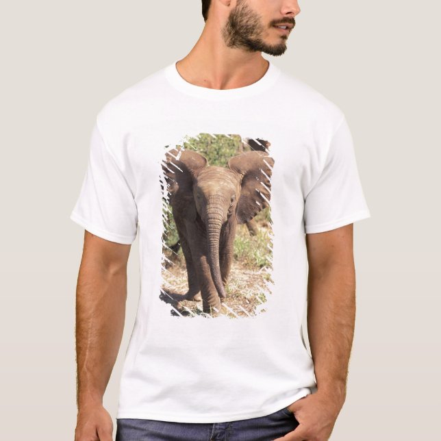 Camiseta África, Quênia, Parque Nacional de Amboseli. Afric (Frente)